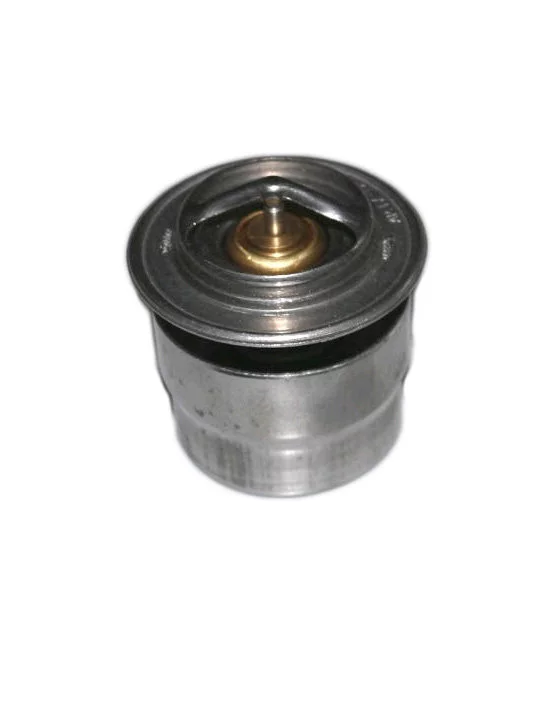 купить Термостат ТС-107-06 (80°С) (наб-р 2+4пр) Прамо